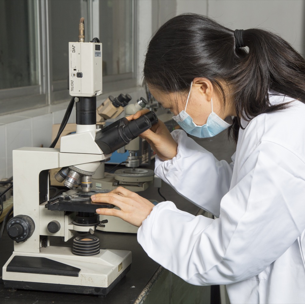 Microscope inspection of braided line